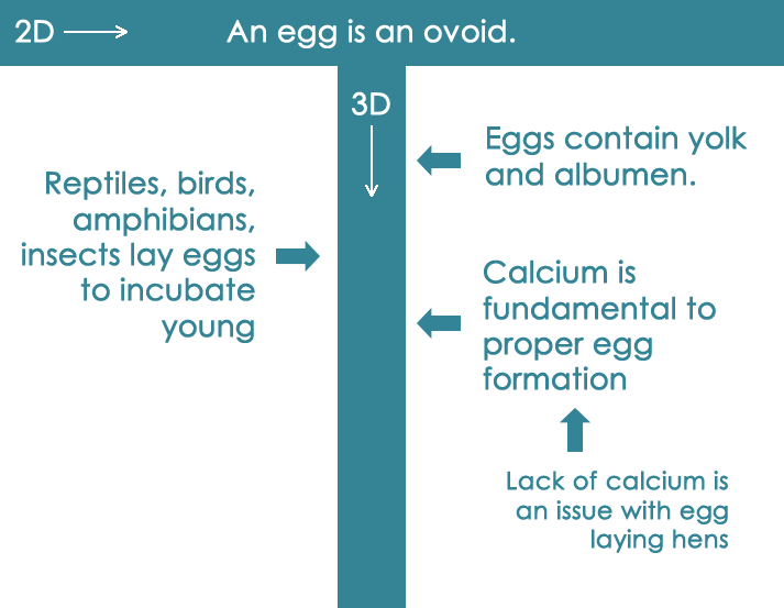 The relativity of knowledge and 2D vs. 3D Thinking…. | by T.A.B. | Medium