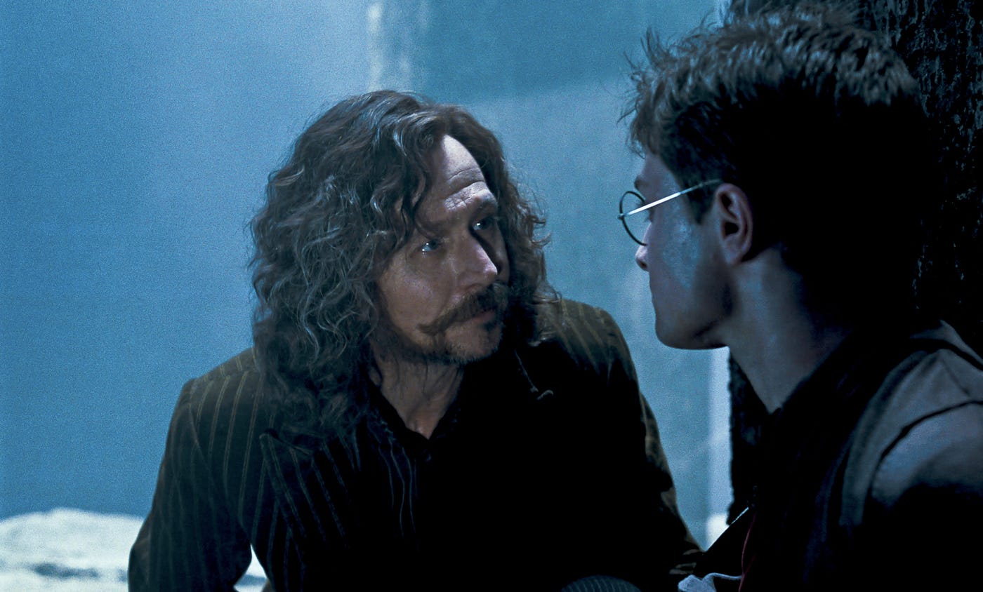 Sirius and Harry