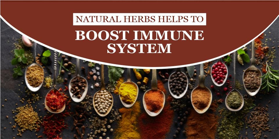 Natural Herbs Helps To Boost Immune System