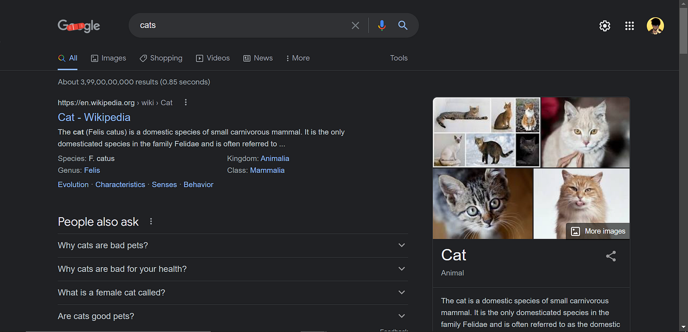 Simple example in Selenium Python | by Chaayagirimon | featurepreneur ...