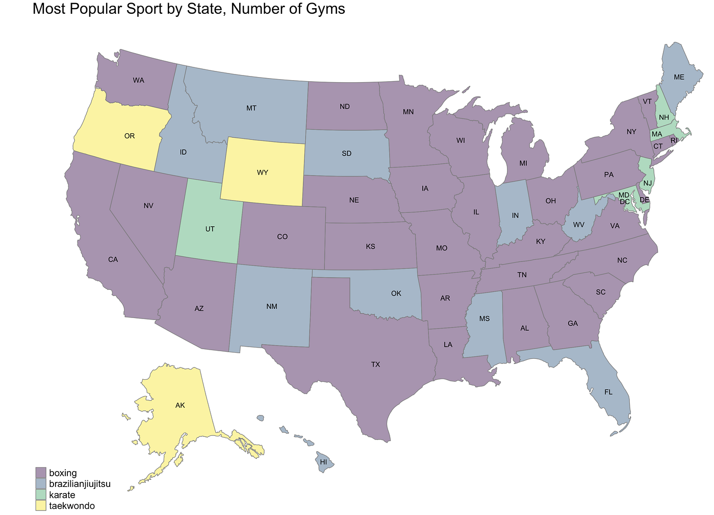 The Top 20 Most Popular Martial Arts in the United States | Analytics Vidhya