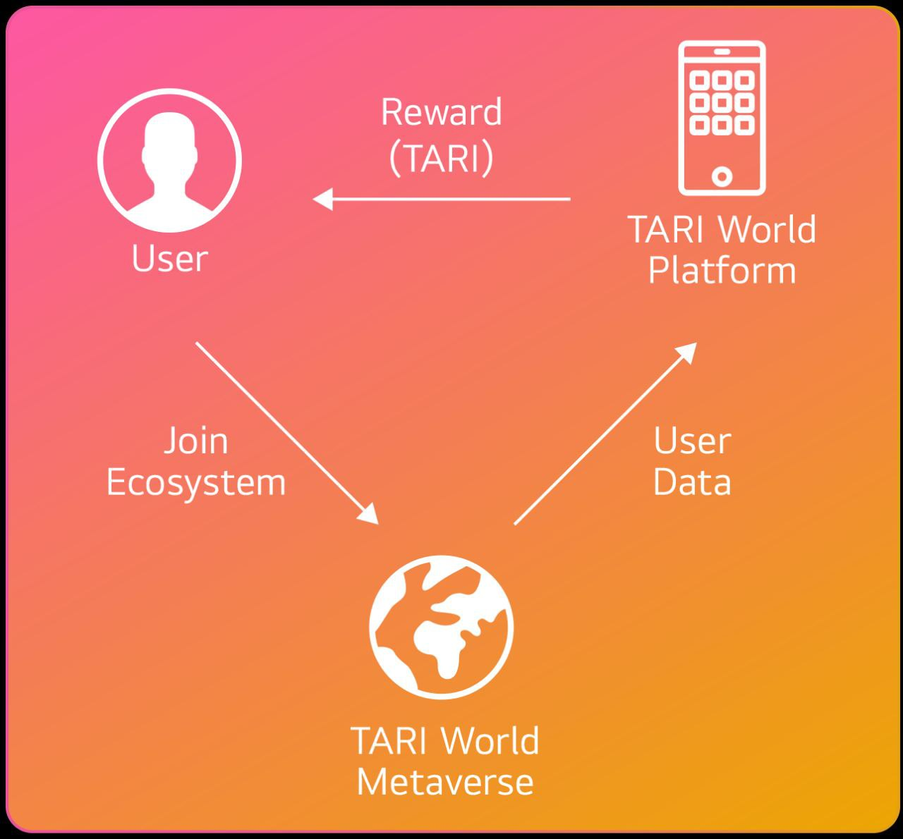 TARI WORLD platform pointbasis reward system explained by TariWorld