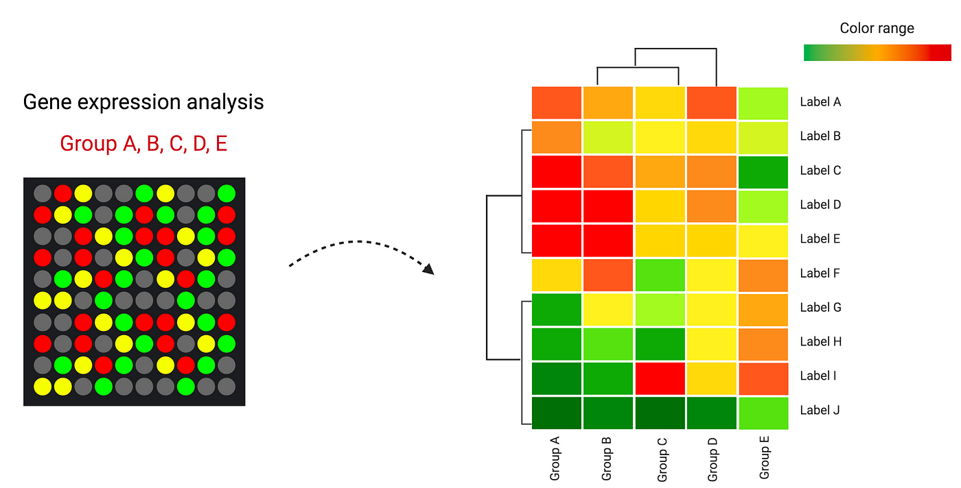 How To Use The Seaborn Library To Compare Categorical Variables By Kuan Rong Chan Ph D Omics Diary Medium