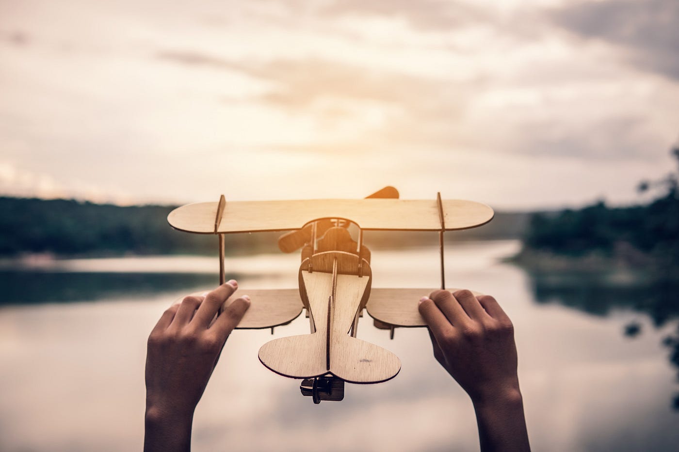 Hands holding toy plane.