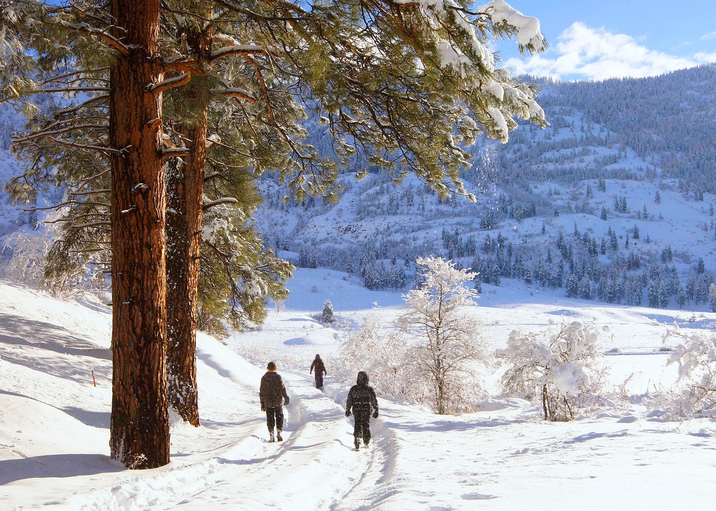 A family goes on a winter walk in WDFW’s Sinlahekin Wildlife Area in Okanogan County. (Justin Haug/WDFW)