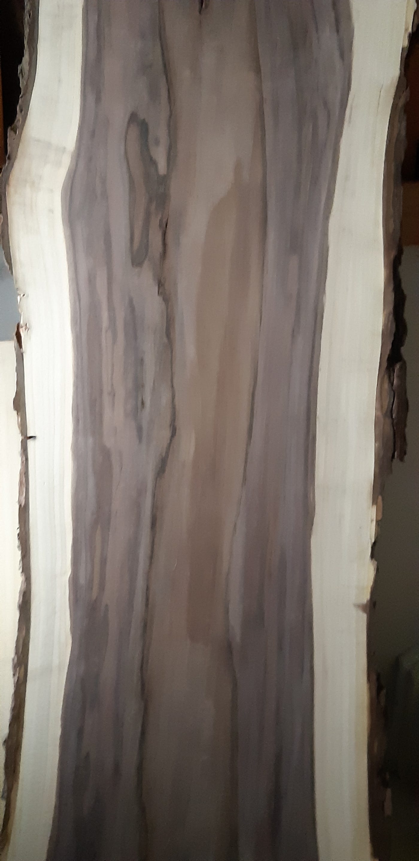A beautiful slab or Live Edge Walnut.