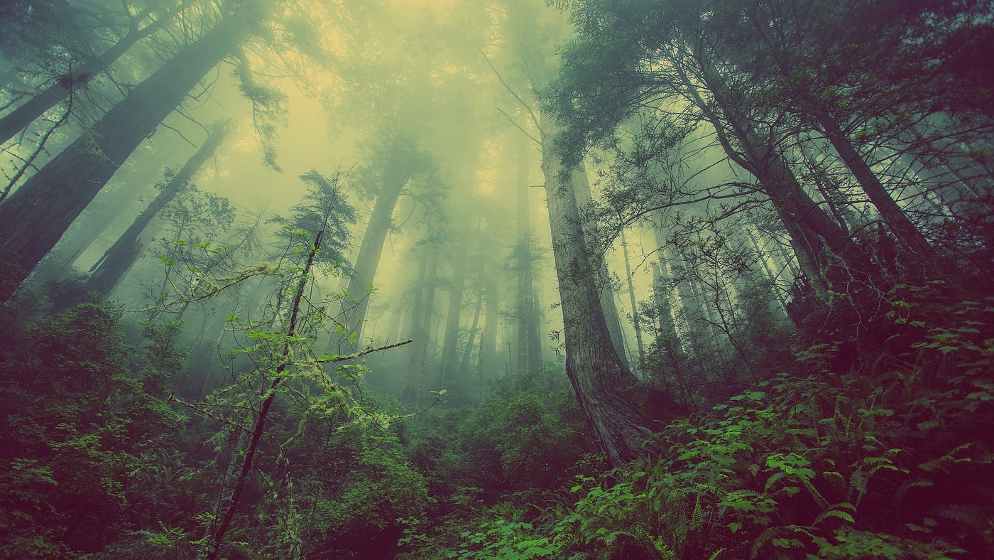 Why The Hunger Games is So Popular | by Brian Rowe | Read. Watch. Write.  Repeat. | Medium