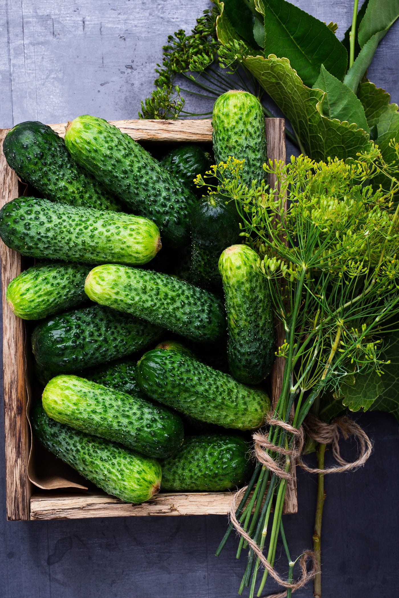Overhead shot of a rustic square wooden basket filled with cucumbers and a bunch of fresh dill tied with a piece of twine.