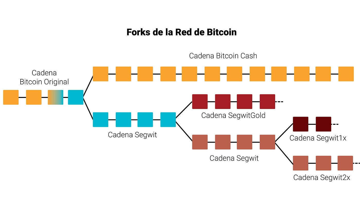 Los problemas de escalabilidad en el Bitcoin llevaron a la realización de distintos forks.