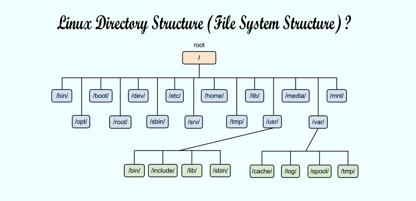 Linux basics: Definition and Directory Structure | by Long Nguyen | Medium