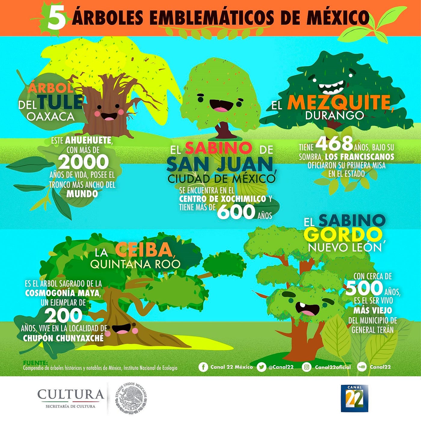 Plantemos árboles nativos de México | by La Libélula México | Medium