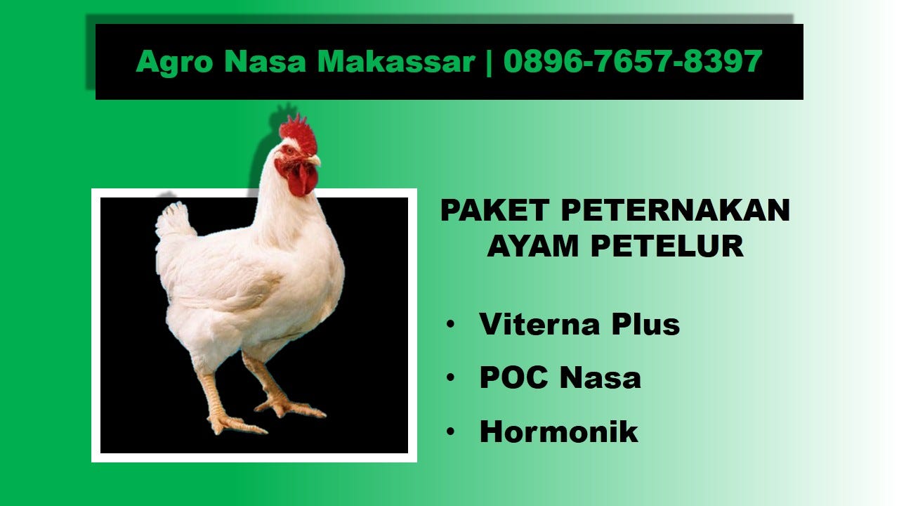 Paket Vitamin Ayam Petelur Wa 0896 7657 8397 By Agro Nasa Makassar Medium