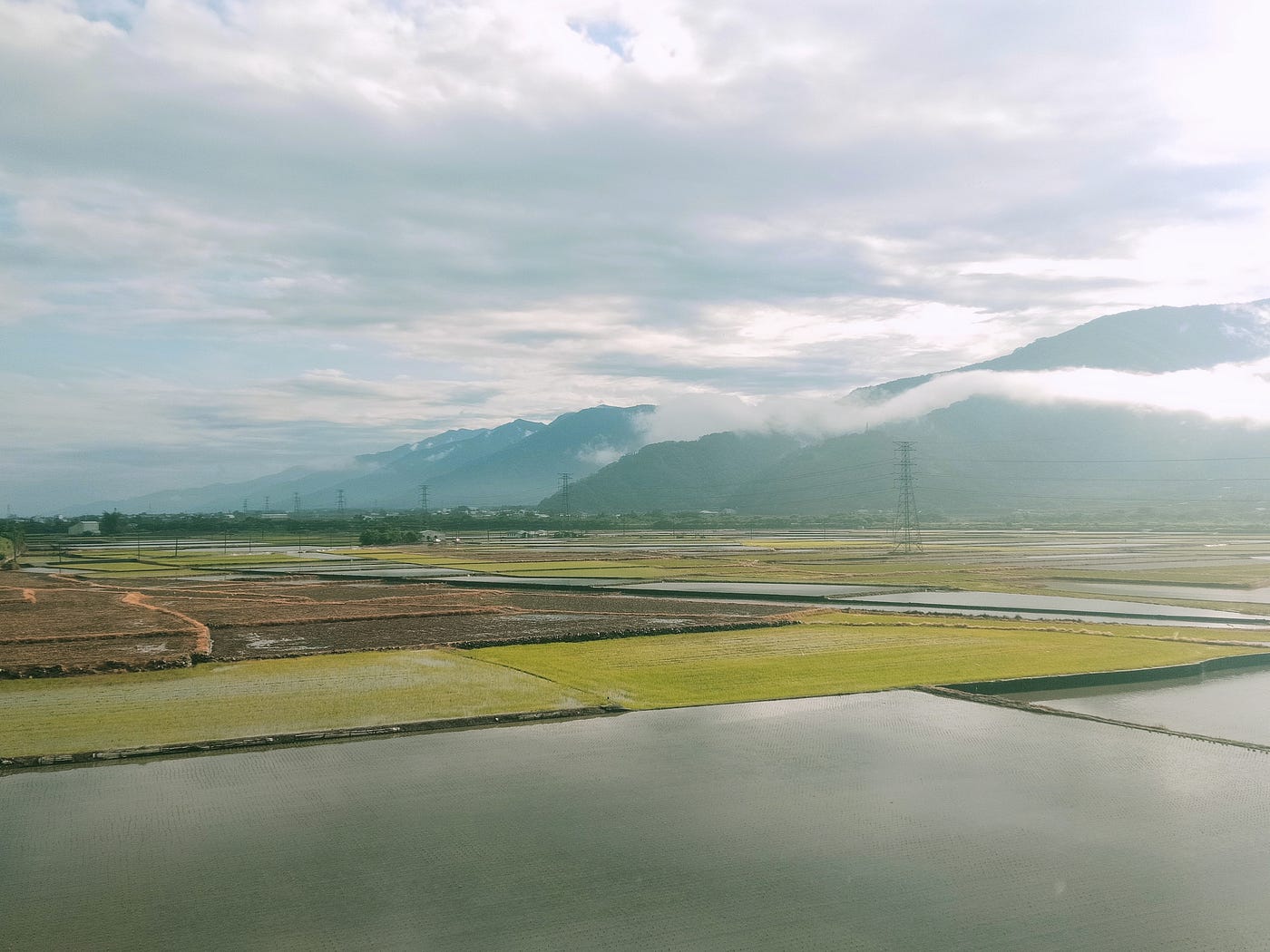 池上旅居 5 歲月靜好 Medium