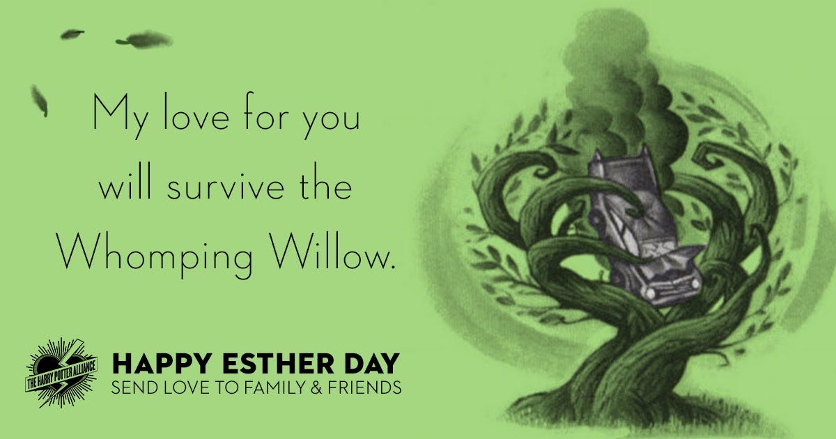 This Week in Wizard Activism Happy Esther Day! by Fandom Forward