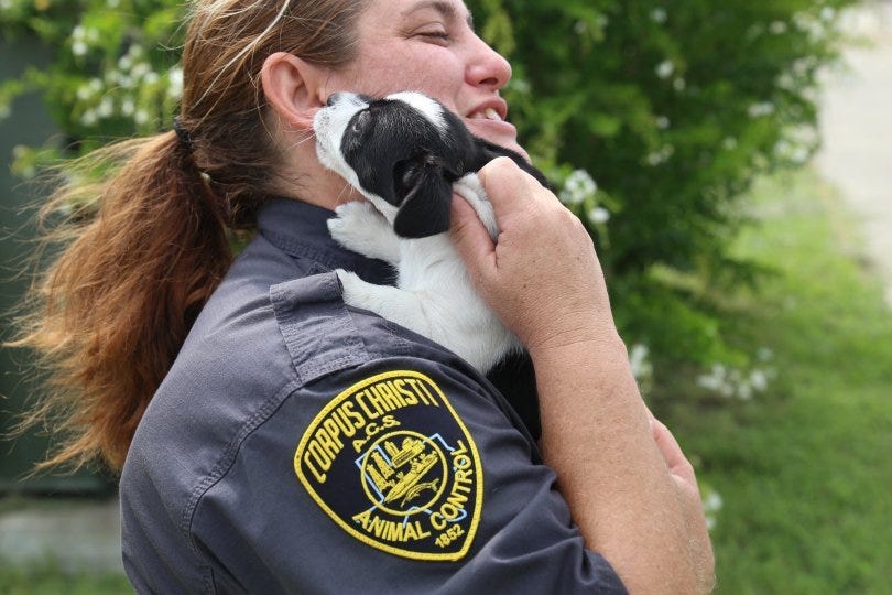 How My Rescue Dog Rescued Me And Saved Other Rescue Dogs To Boot (Or Paw) by Jane McKenna Medium