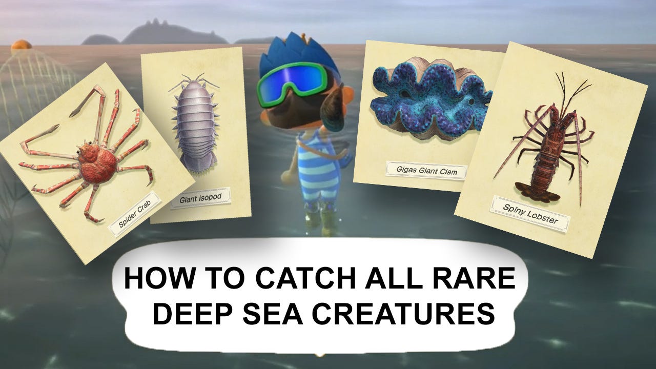 Complete Guide To Deep Sea Diving For Animal Crossing New Horizon By Sam Chen Medium