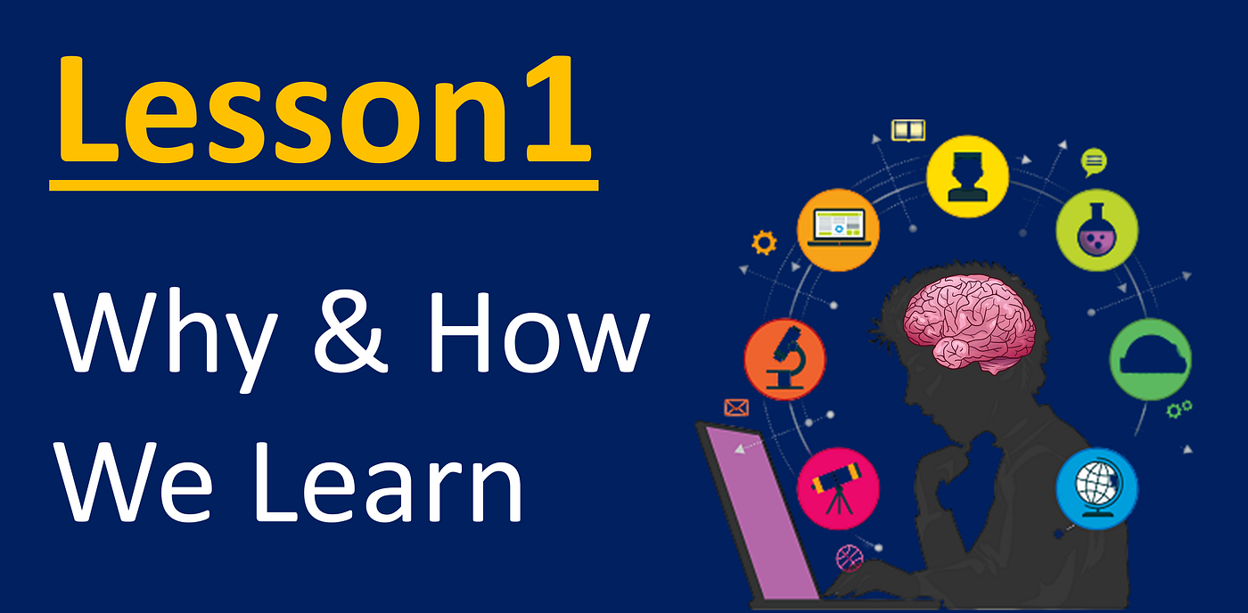 lesson-1-why-and-how-we-learn-one-of-the-primary-functions-of-the