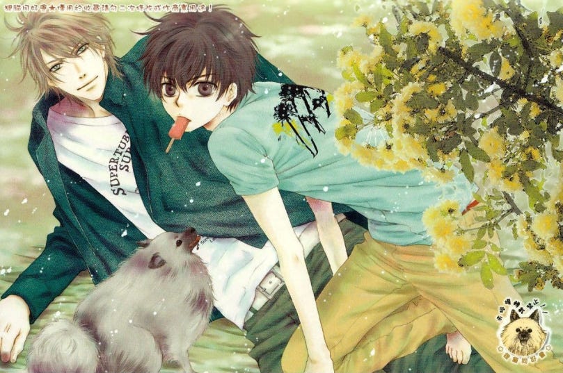 Super Lovers I M A Big Fan Of The Manga And I Wish By Rose Zheng Medium