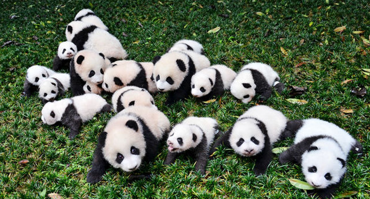 Pandas' groupby explained in detail | by Fabian Bosler | Towards Data Science