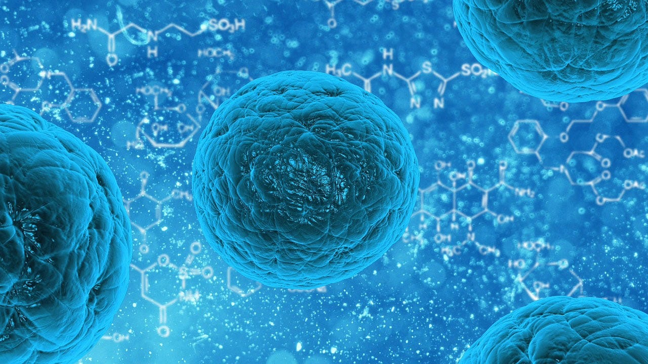 Stem Cell Market In North America Is Expected To Hold The Largest Share 