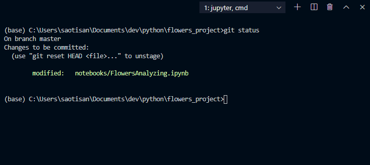 How to clear the Jupyter Notebook outputs automatically? | by Tiago ...