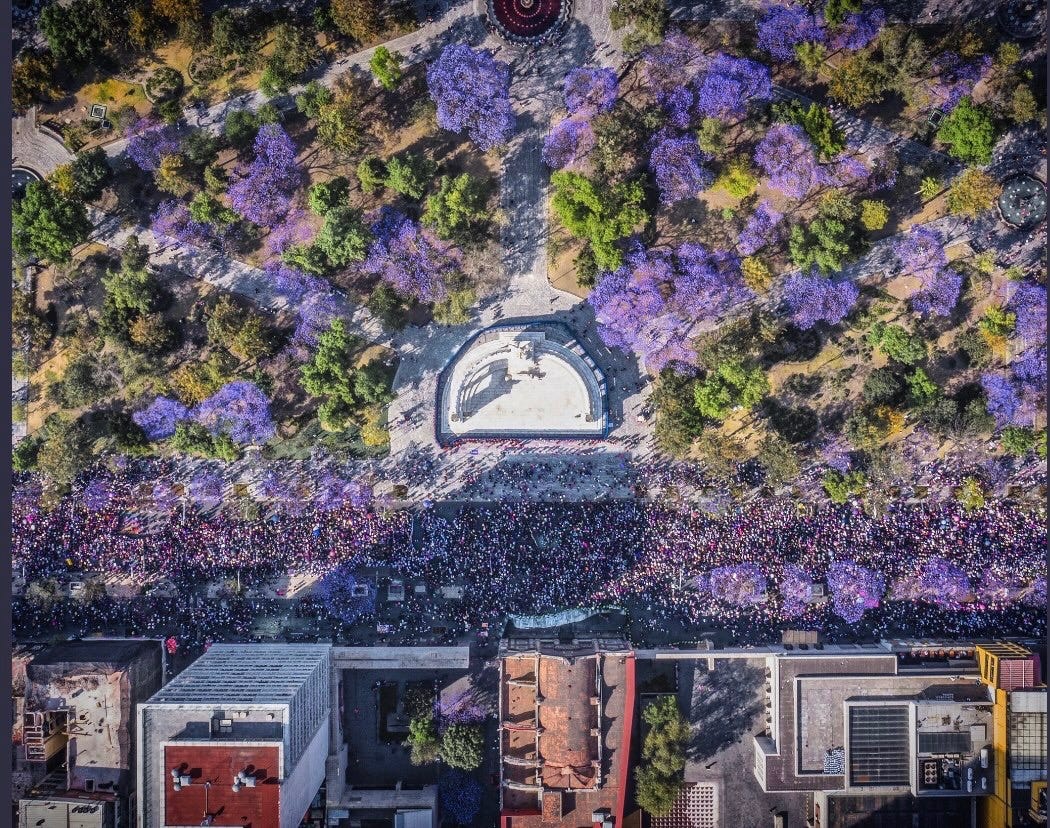 Drone aerial view of a street full of women wearing purple, passing lots of purple jacaranda trees in Mexico City on March 6th, 2020