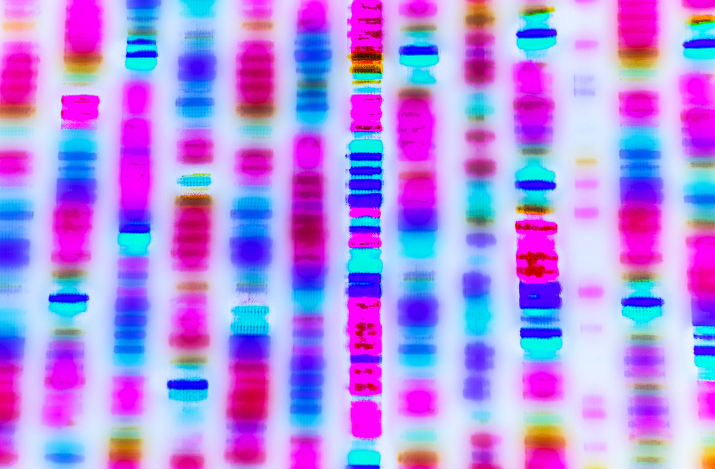 Gene Testing — What, Why, Where, and How? by GeneSupport Medium