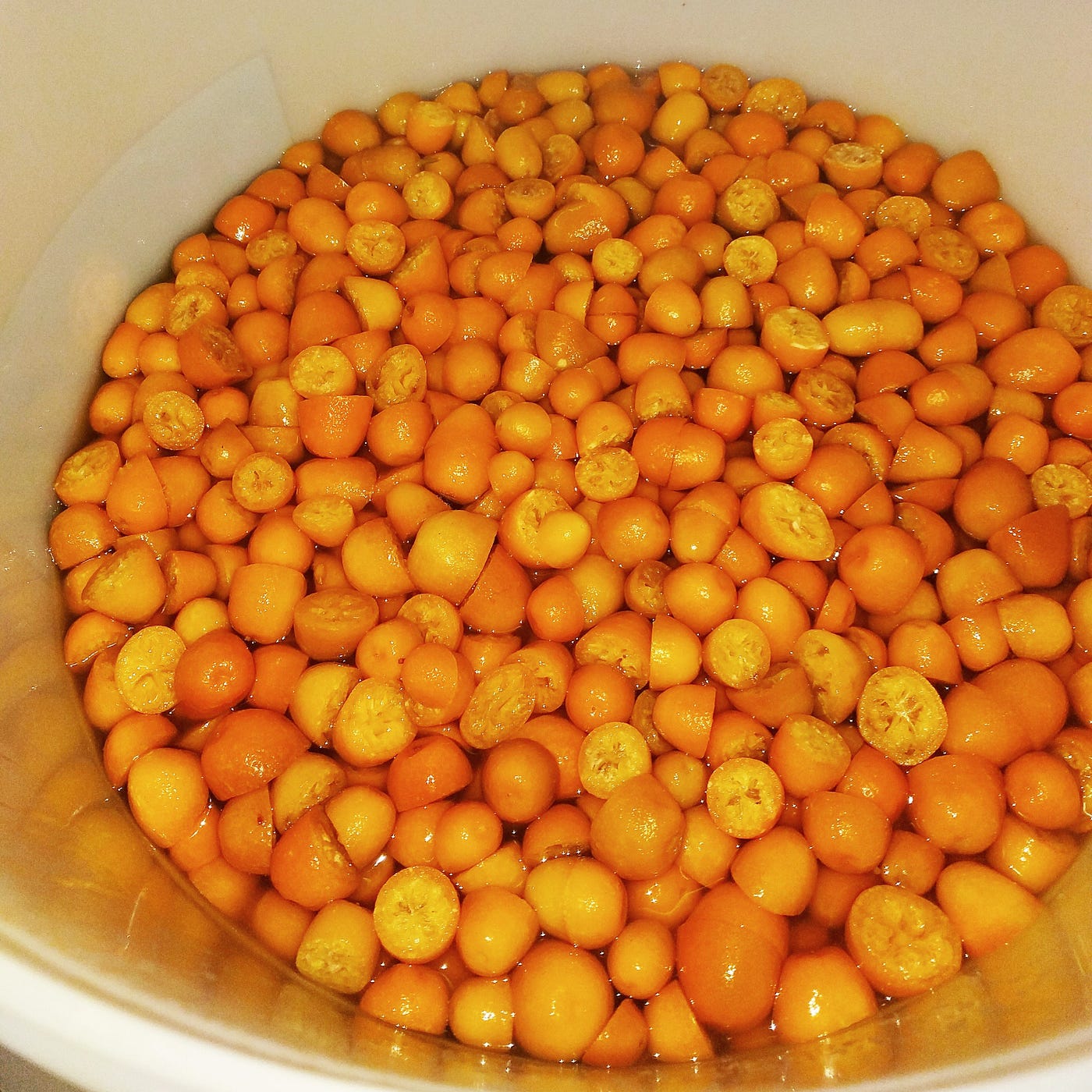 The Lactobacillus Monologues. How to kettle sour and what not to do