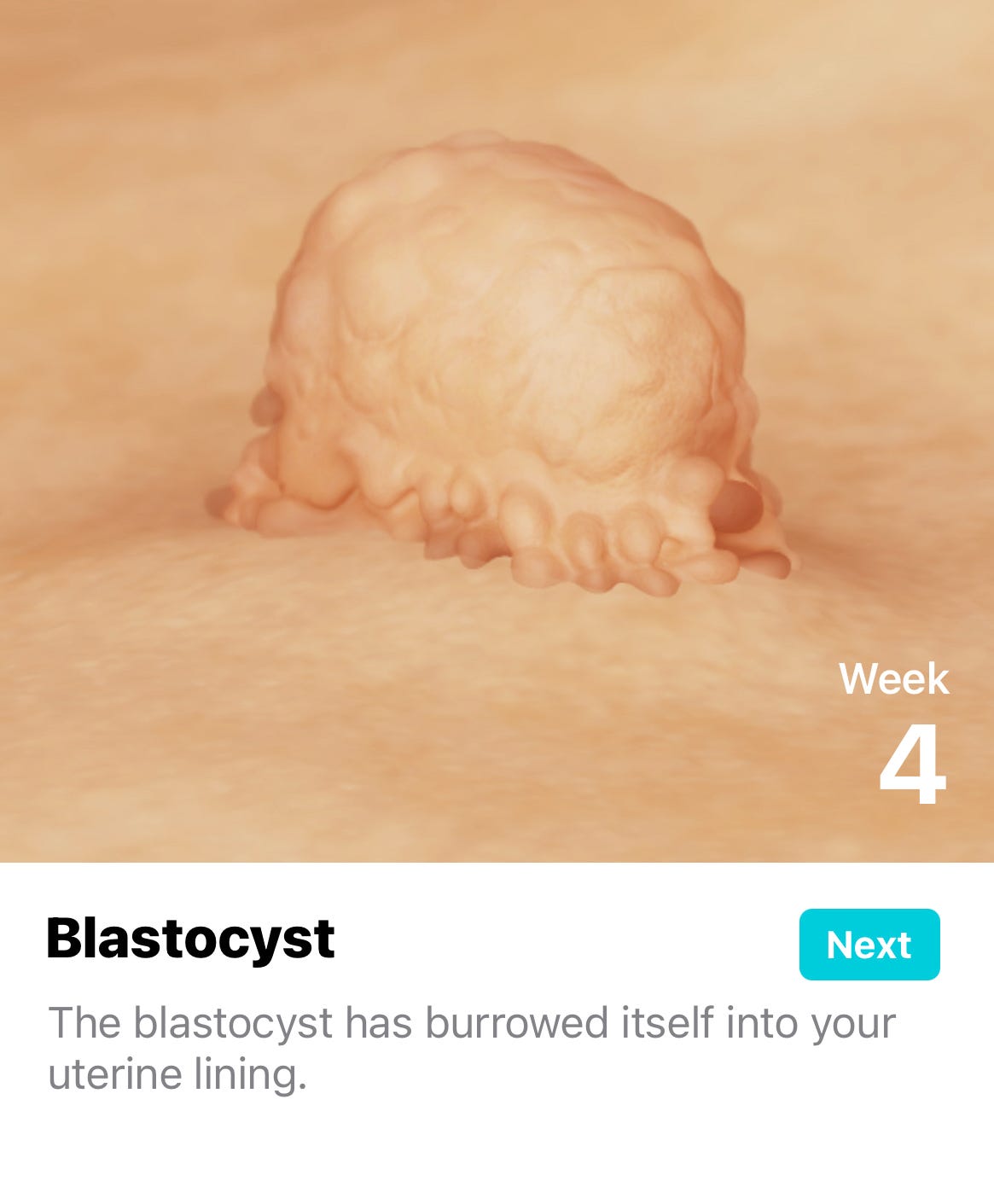 Recap of week four of pregnancy. "Your baby is as big as a poppy seed