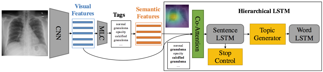 On the Automatic Generation of Medical Imaging Reports | by Petuum, Inc. |  Medium