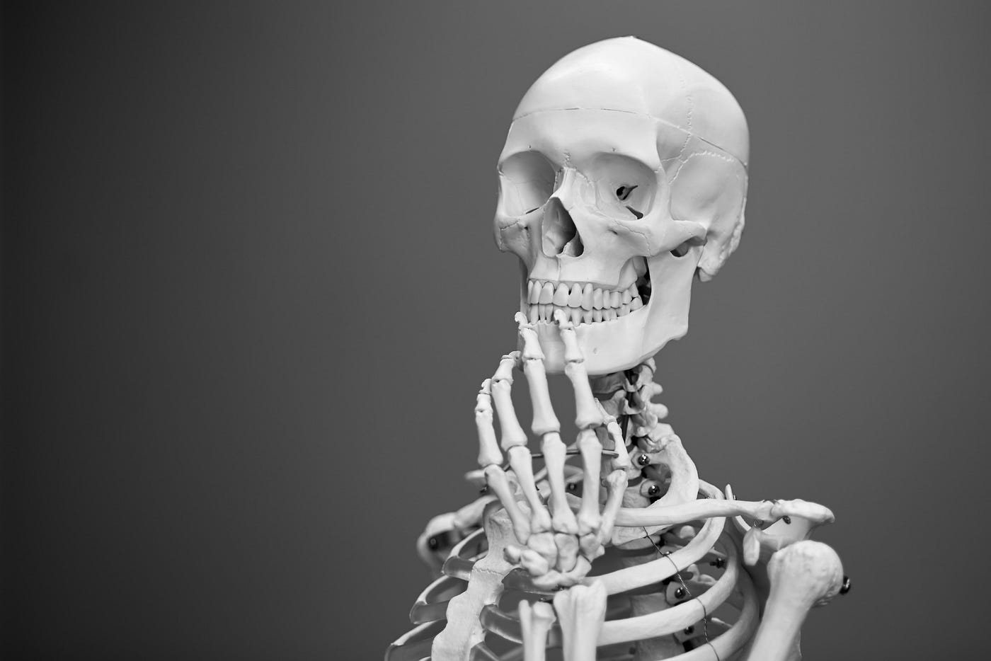 What Can Be Read in Bone Remains? | Forensic Anthropology