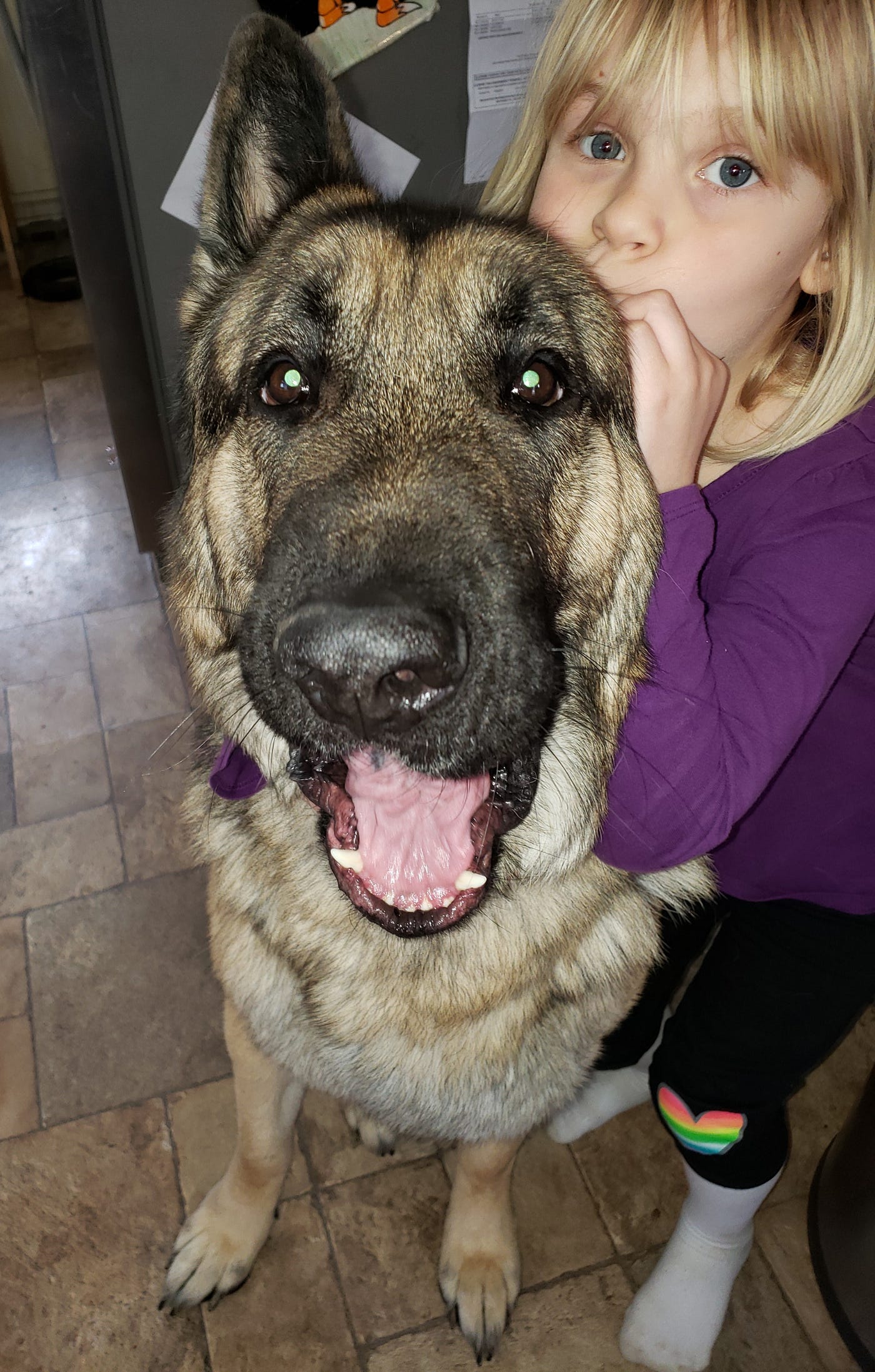 Life The Bigger Picture