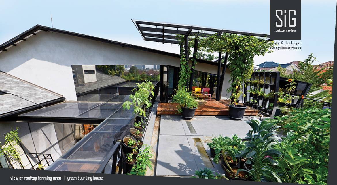 18 Jenis Desain Taman Atap Rooftop Garden Arsitag Di 2021 Kotak Tanaman