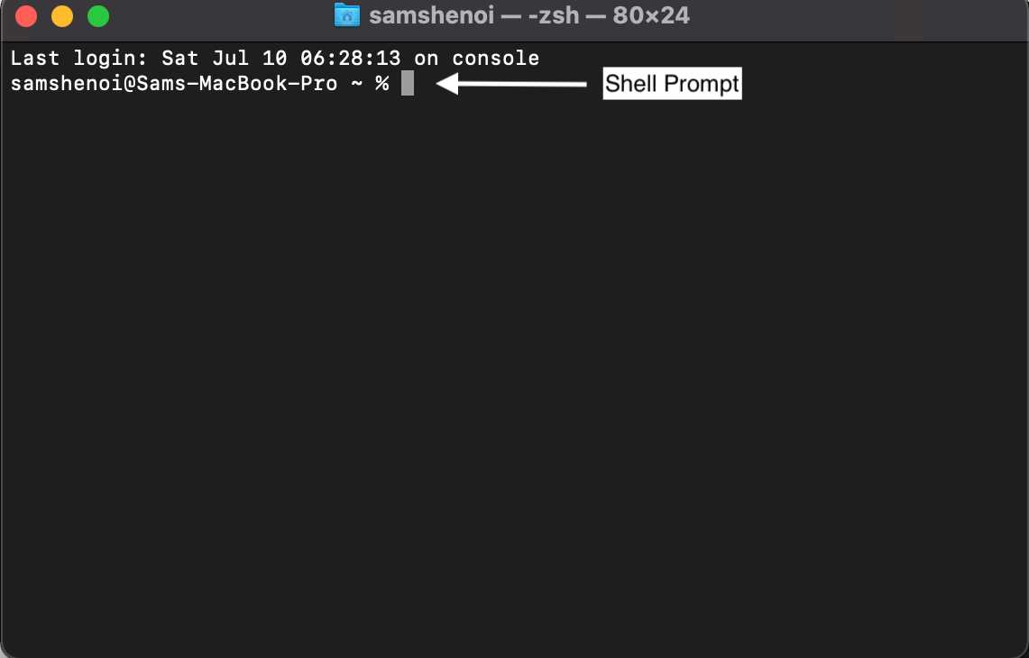 Introduction to BASH for Biomedical Research (Part 2/3) by Banana Chip Tech CodeX Jul