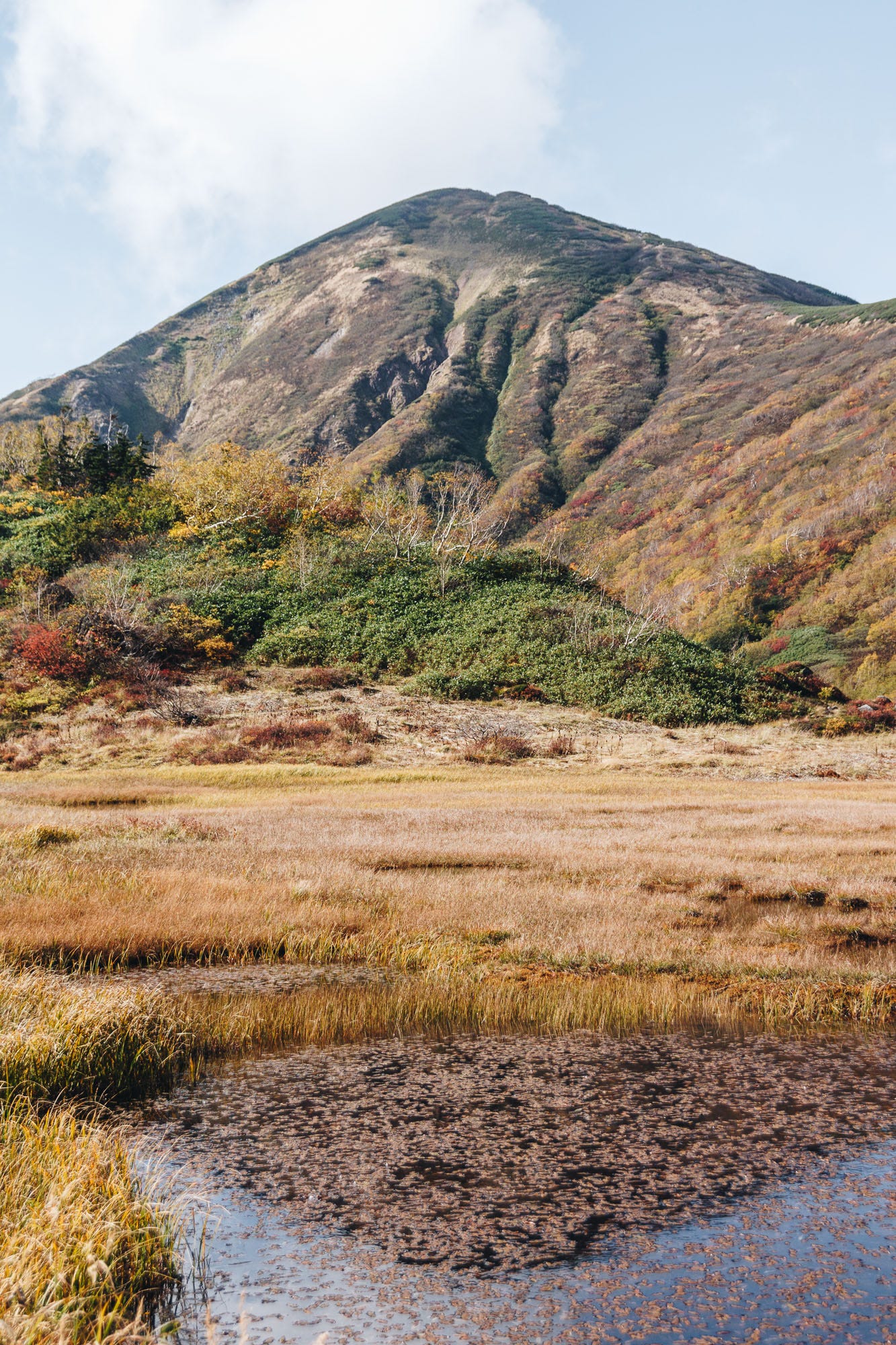 新潟 高山濕原秘境住一晚 火打山 妙高山二日縱走 Drifting Soul Medium