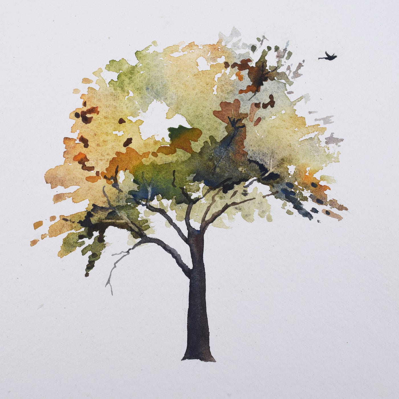 Paint a Watercolor Tree in the Fall  by Christopher P Jones  Medium