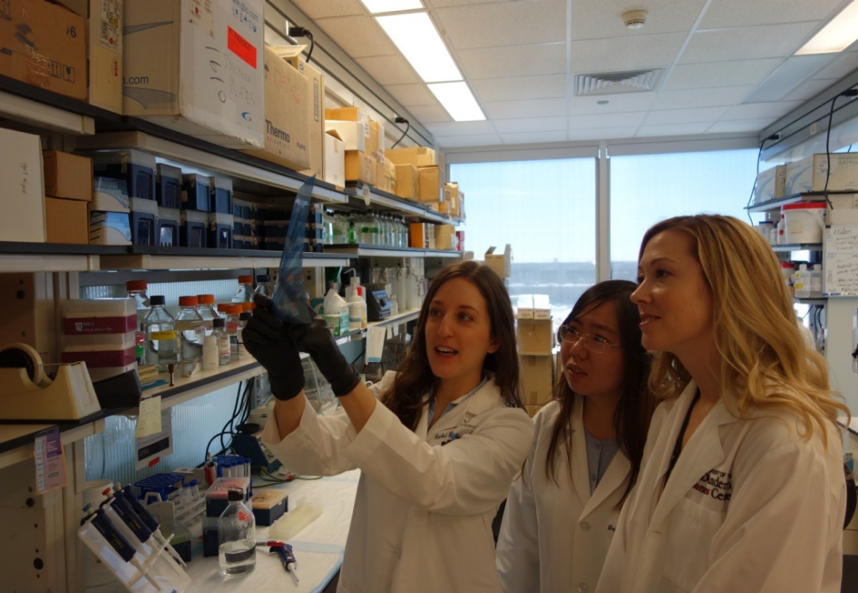 How to apply and make the most out of summer research internships in