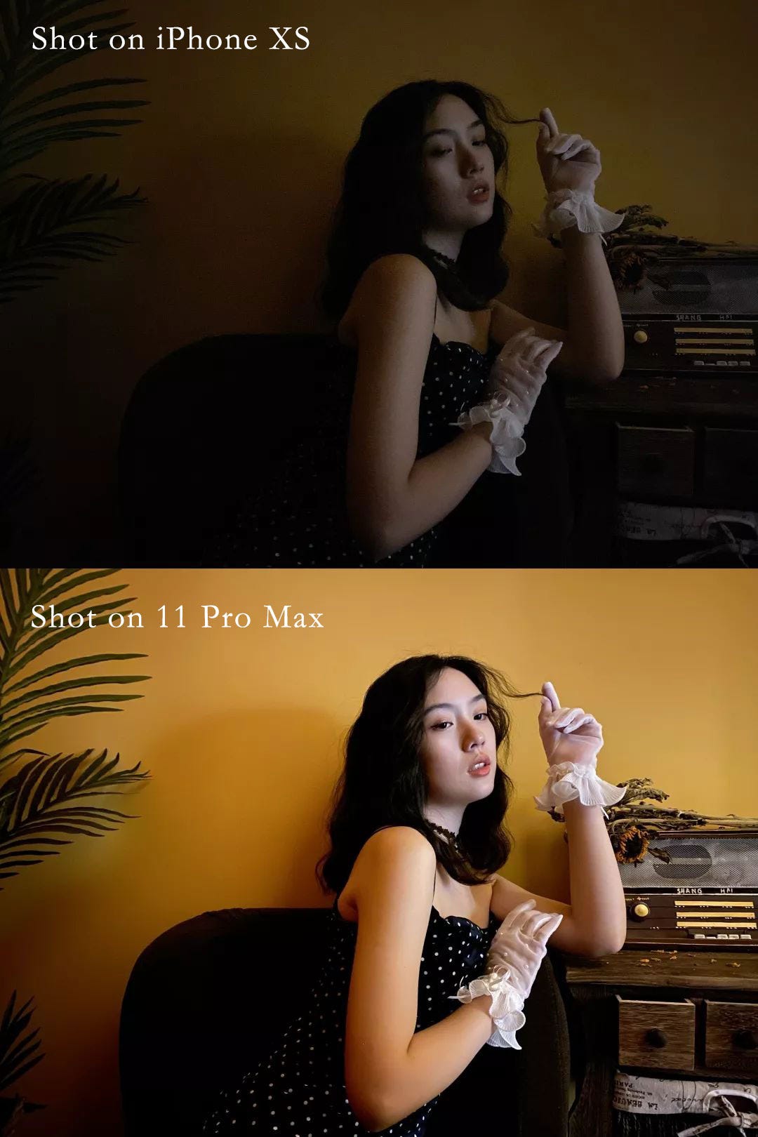 How does the iPhone 11 Pro new camera system perform in the real world