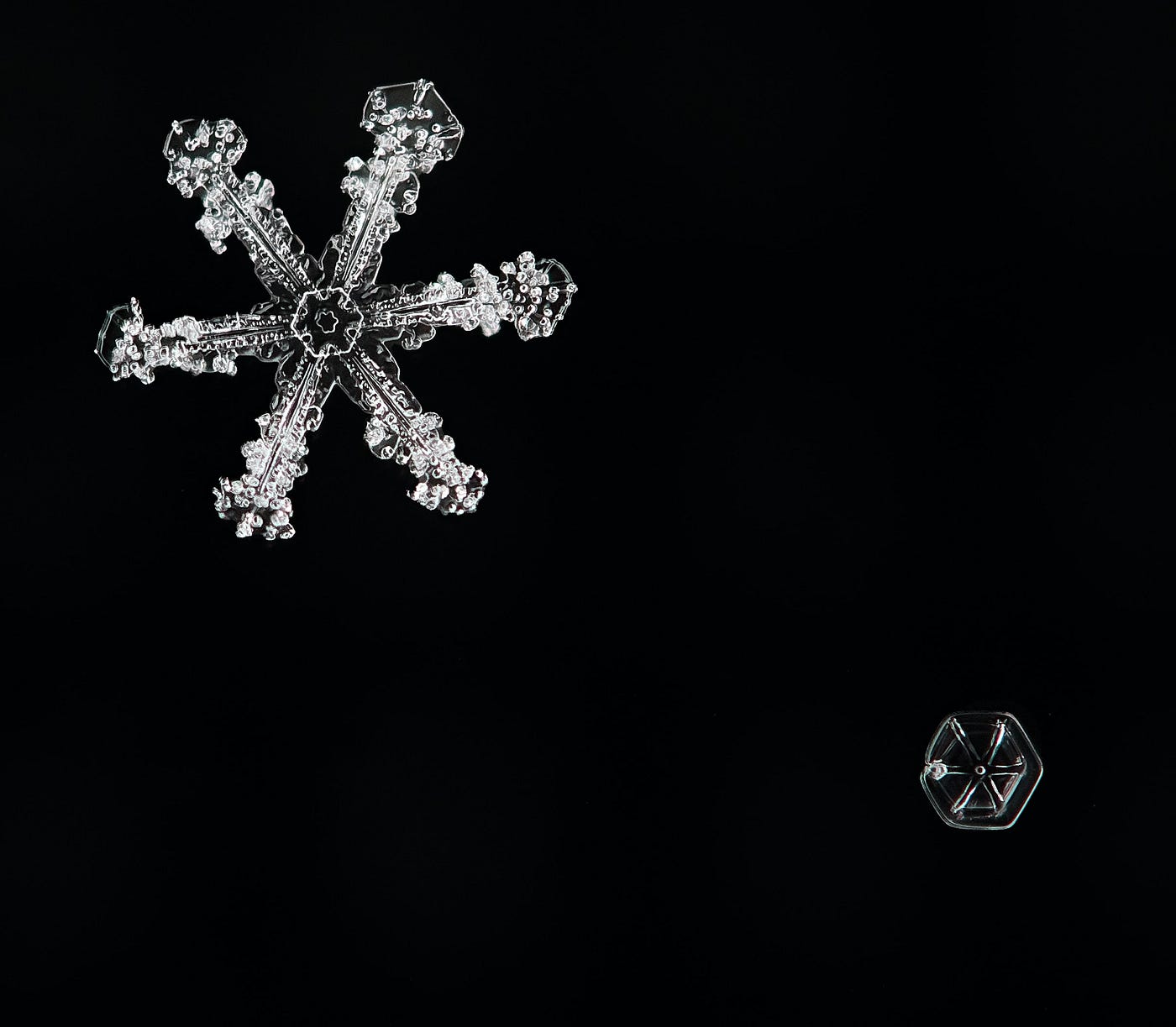 What is a Snowflake Schema?. And What are the Differences to a Star