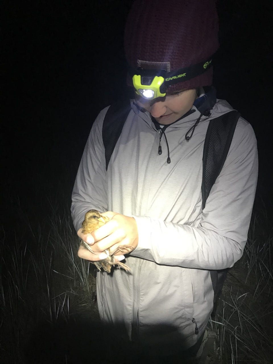 Amy wearing a headlight holding a yellow rail at night