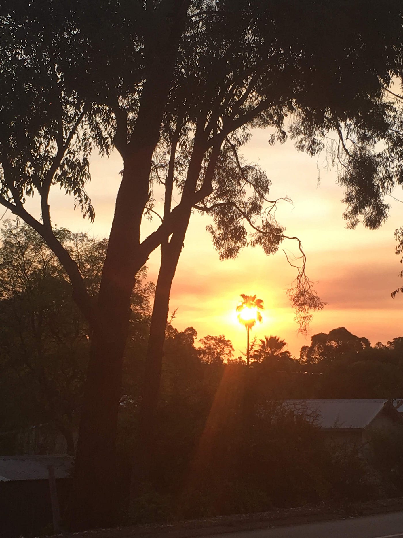 Sunrise- Amy Marley