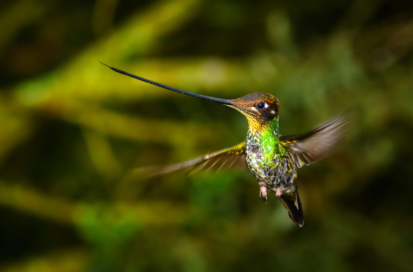 Colombia 2017 Travel Report. Henriette and I just came back from an… | by Ferdy  Christant | Ferdy Christant