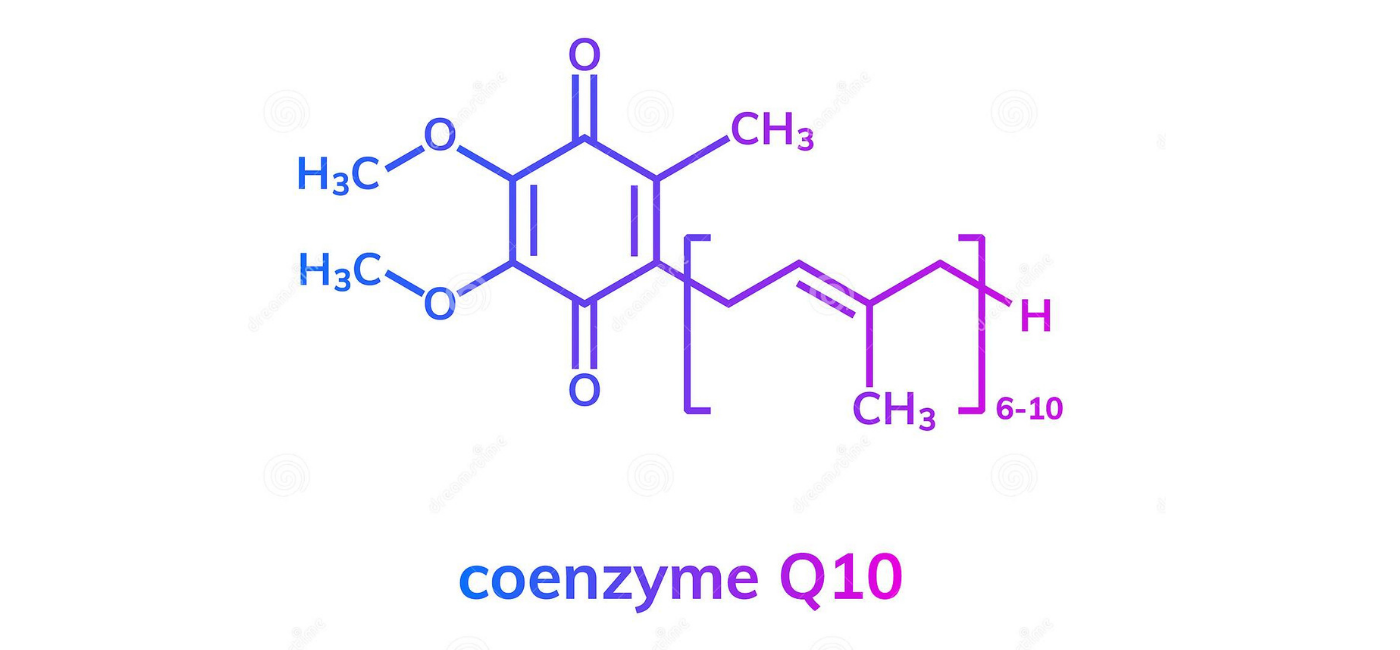 Coenzyme Q10 Nootropic Ingredient in Pre Workouts — CoQ10