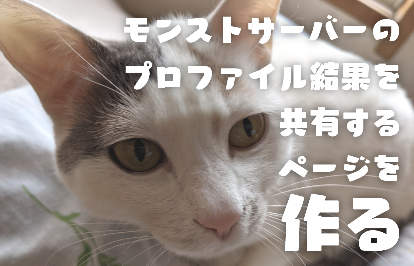松原信忠 Medium 松原信忠 Medium