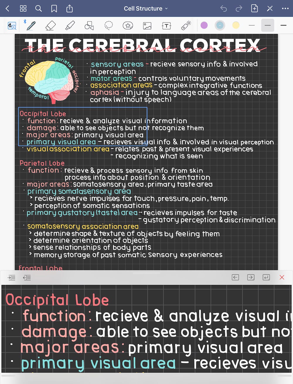 How to Take Aesthetic Notes on the iPad | by GoodNotes | GoodNotes Blog