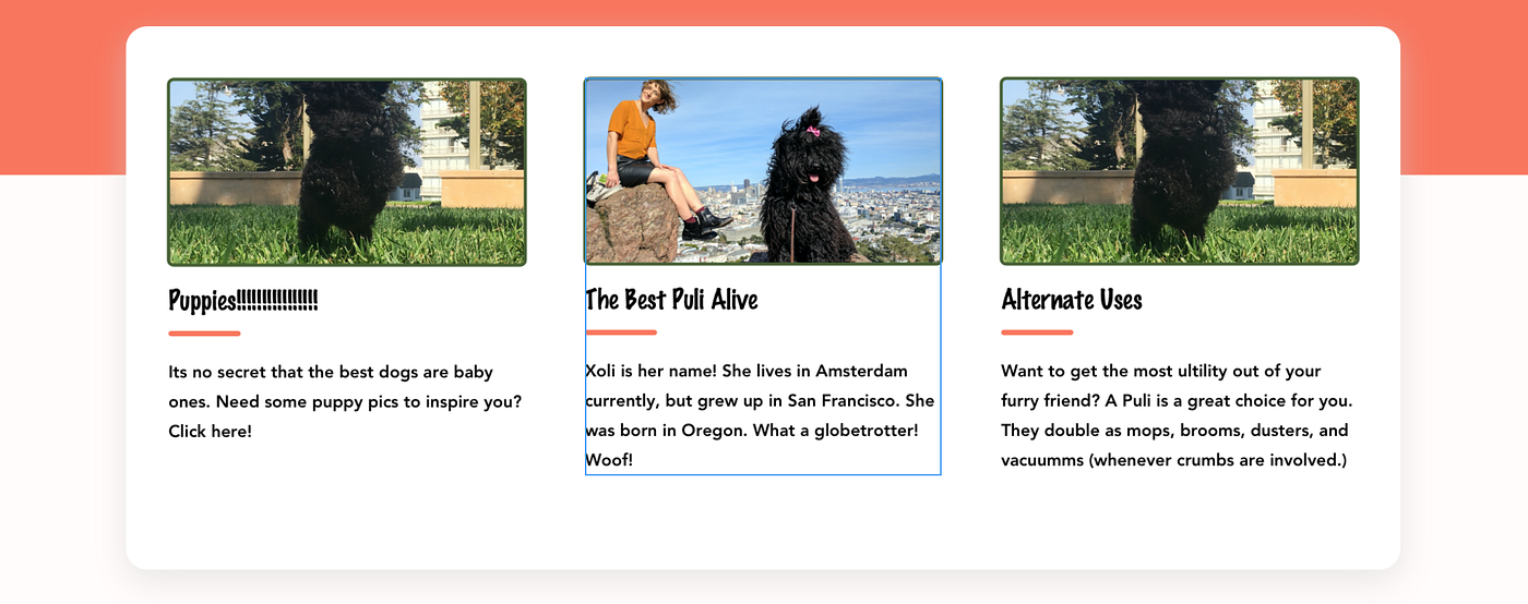 My introduction to HTML & CSS. For our last project at the UX/UI… | by ...
