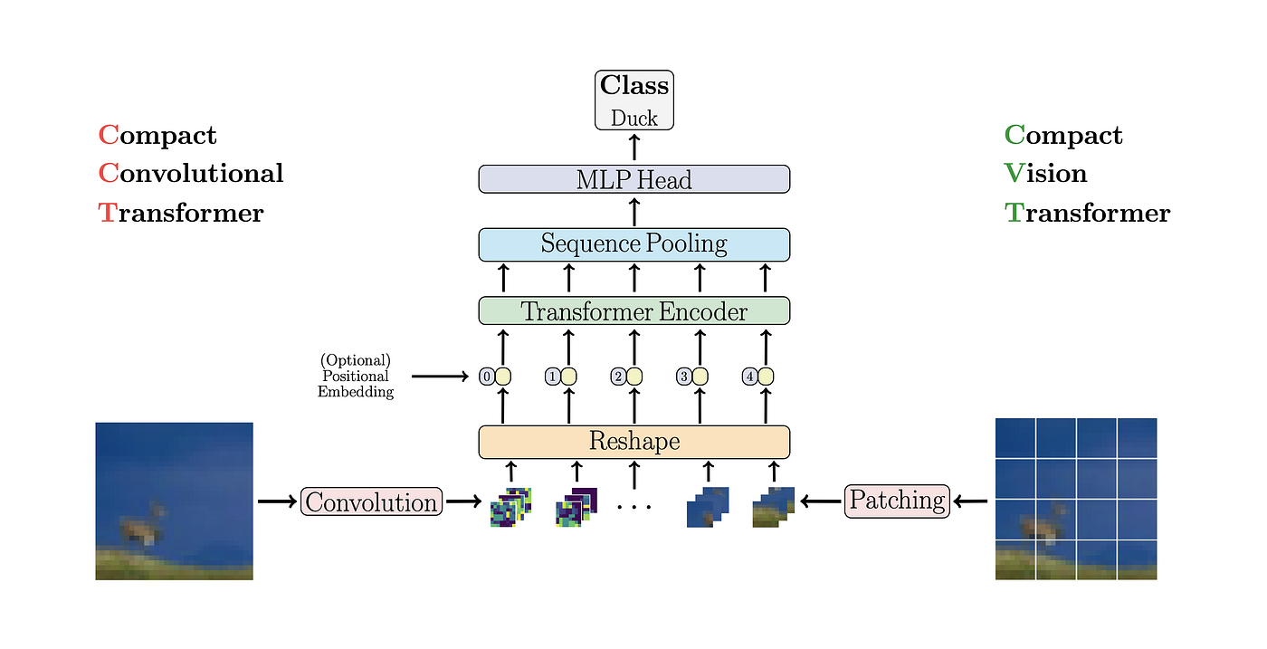 Training Compact Transformers from Scratch in 30 Minutes with PyTorch