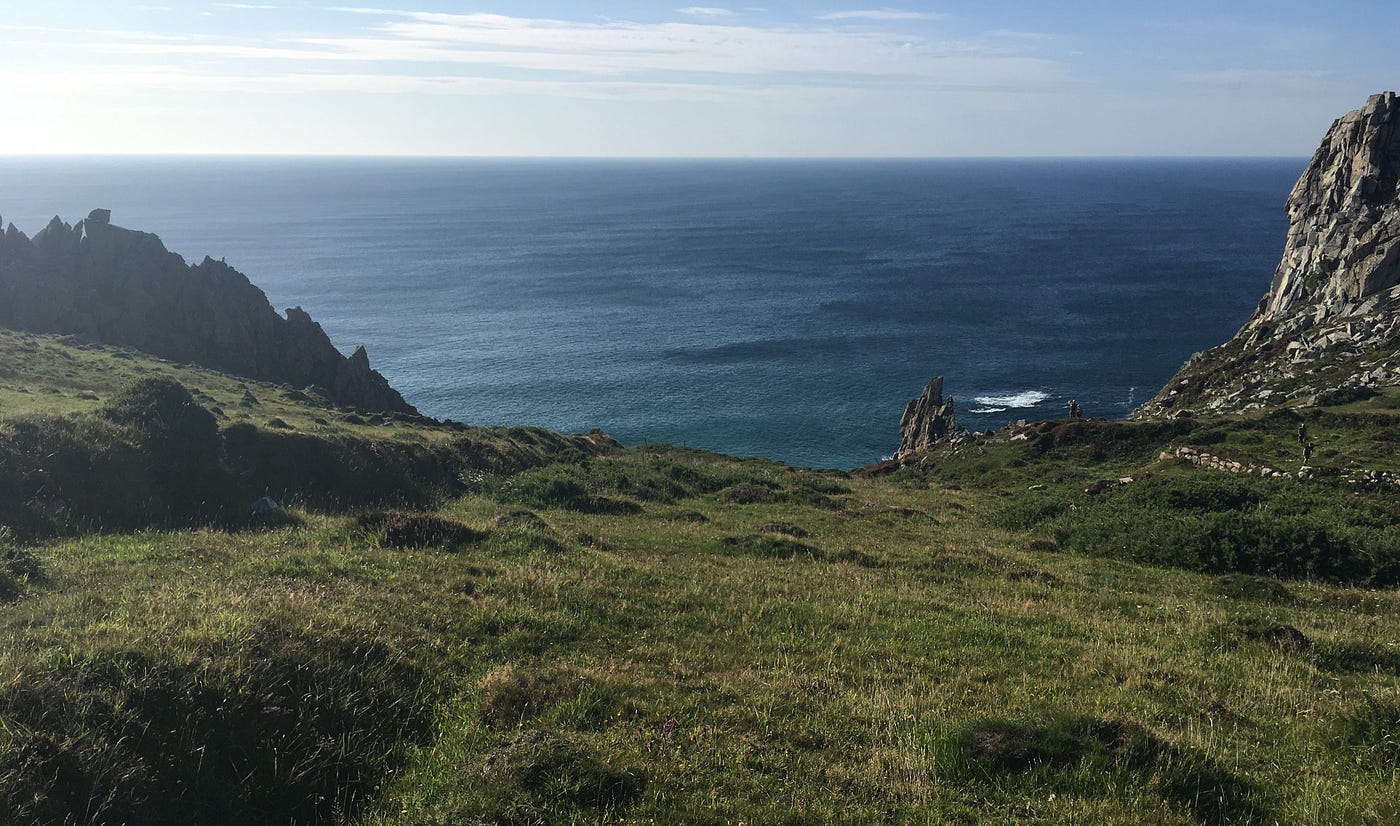 A grassy coast and ocean view.