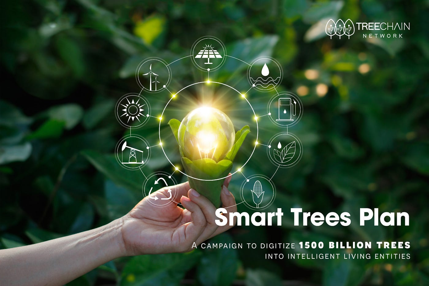 Smart Trees Plan — A campaign to digitize 1500 billion trees into intelligent living entities