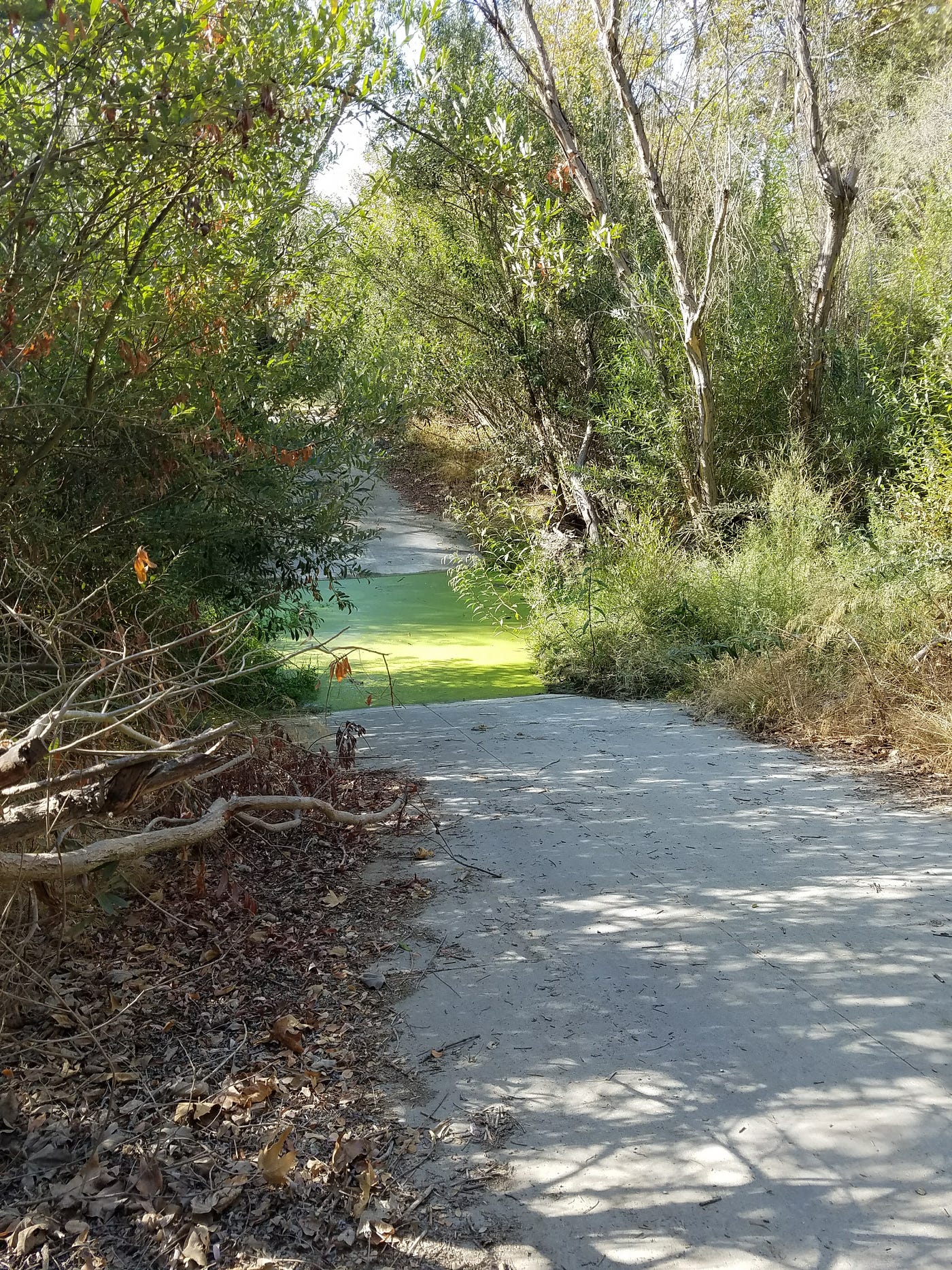 Aliso And Wood Canyons Wilderness Park By Tasha R Snapshots Medium 